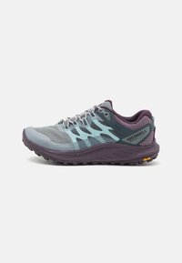 ANTORA 3 GTX - Trail running shoes - highrise/plum