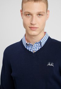 Knavy V-Ausschnitt Pullover aus weichem Strick, mit einem kleinen gestickten Design von zwei Geweihen und darüber getragen über einem blau-weiß karierten Hemd.