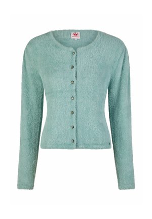 Hellblauer, flauschiger Langarm-Cardigan mit rundem Ausschnitt und sechs dekorativen Knöpfen vorne.