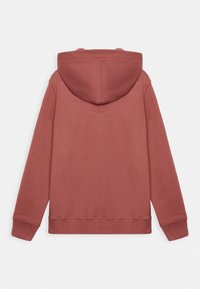 Sudadera de color óxido con mangas largas, puños acanalados y capucha, mostrada desde la parte posterior sobre un fondo blanco liso.