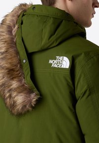 The North Face M MCMURDO BOMBER - Zimní bunda - woodland green