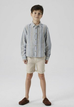 Camicia a righe nei toni di blu, verde e beige, con taschino sul petto; abbinata a pantaloni corti beige arrotolati e scarpe slip-on marroni.