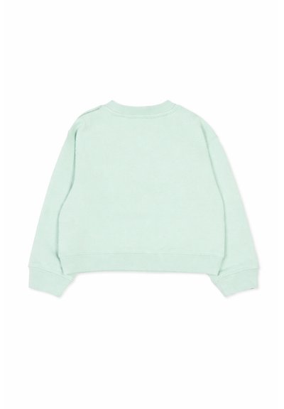 Sweat-shirt vert menthe clair à manches longues avec poignets et ourlet côtelés, présenté à plat avec l'arrière vers le haut sur un fond blanc.