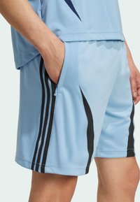 adidas Originals TEAMGEIST - Træningsbukser - ash blue   black
