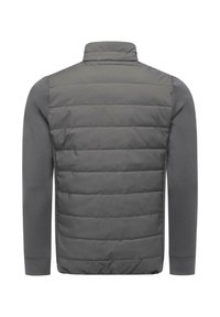 Graue gesteppte Weste mit hohem Kragen und langen Ärmeln, mit einer weichen, glatten Textur. Die Rückseite zeigt ein schlankes Design ohne sichtbare Beschläge.