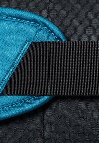 Mammut WAISTPACK - Riñonera - sapphire