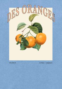 Pomeranče Valencia s zelenými listy na větvi, označené "Des Oranges" a "Citrus × sinensis" na béžovém pozadí s modrým rámečkem.