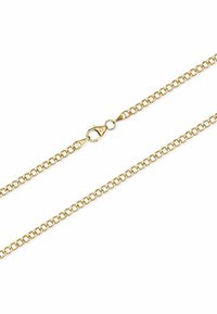 Collana a catena dorata con anelli interconnessi e chiusura a moschettone per una chiusura sicura. Texture liscia con una finitura lucidata.