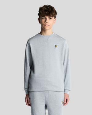CREW NECK - Športni pulover - light grey