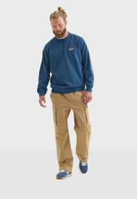 Felpa blu con colletto rotondo e logo colorato, abbinata a pantaloni cargo beige con tasche laterali e sneakers blu con lacci bianchi.