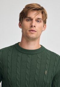 Grüner Kabelstrickpullover mit Rundhalsausschnitt, der ein kleines Logo-Detail auf der Brust aufweist. Sanfter Stoff und gerippte Bündchen.