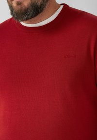 Rode trui met een ronde halslijn en ribbeltrimming. De stof lijkt zacht met een gladde textuur. Klein logo zichtbaar op de borst.