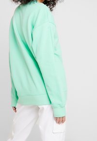 Mintgrön sweatshirt med avslappnad passform, ribbade muddar och nederkant. Tillverkad av mjukt tyg med en slät yta, visad mot en enfärgad bakgrund.