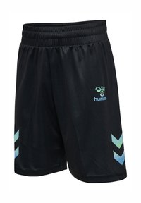 Zwarte sportshorts met een elastische tailleband, voorzien van een groen en blauw chevronpatroon aan de onderzijde en een logo aan de voorkant.