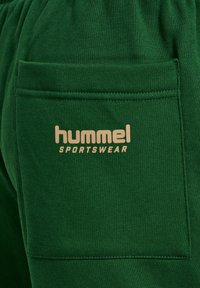 Gröna bomullssvettshorts med en bakficka; guld "hummel" och "SPORTSWEAR" logotyp tryckt på fickan. Slät textur.