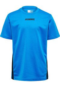 Unausgewählt, indigo bunting