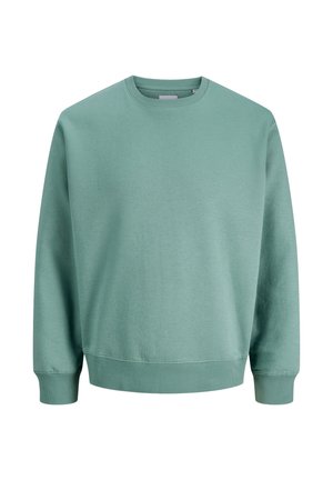 Weiches Baumwoll-Sweatshirt mit Rundhalsausschnitt in gedämpftem Grün, mit langen Ärmeln, gerippten Bündchen und Saum, auf weißem Hintergrund dargestellt.