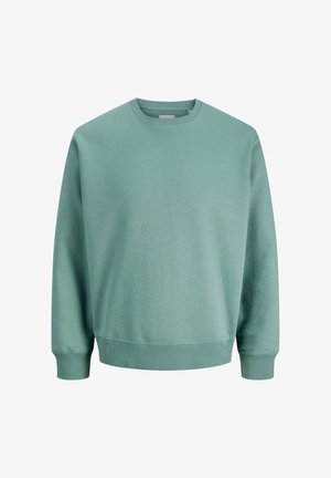 Weiches Baumwoll-Sweatshirt mit Rundhalsausschnitt in gedämpftem Grün, mit langen Ärmeln, gerippten Bündchen und Saum, auf weißem Hintergrund dargestellt.