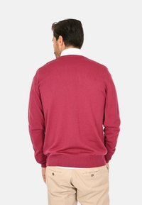 Maglione a V in rosa intenso, realizzato in morbido materiale lavorato a maglia. Presenta maniche lunghe e una forma aderente, con polsini e orlo a coste.