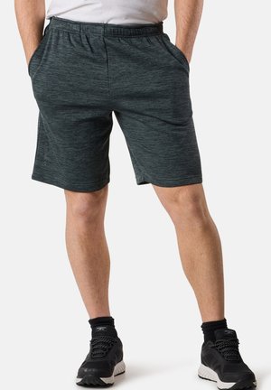 TRAINING LOGO - Träningsshorts - dusty green melange charcoal melange