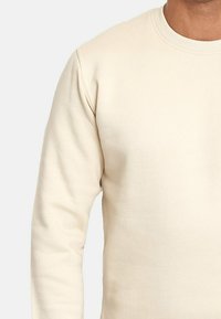 Sudadera de cuello redondo beige, hecha de suave algodón. Presenta mangas largas y un cuello ribeteado con una textura suave. Sin logotipos ni patrones visibles.