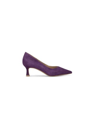 Purple suede high-heeled shoe with a pointed toe and a short, slender heel. Smooth texture and simple design highlight the rich color.