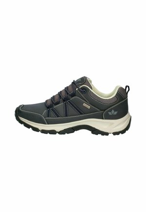 Dark gray and beige hiking shoe with black laces, padded collar, and textured rubber sole, shown from the side against a white background.