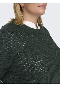 Femme portant un pull en maille texturée vert foncé superposé à une chemise blanche à col, avec de petites boucles d'oreilles en or, visible du cou à la poitrine.