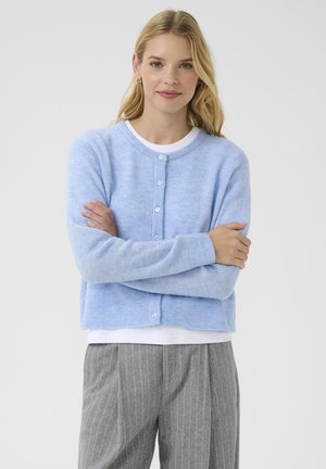 Cardigan corto azzurro chiaro con chiusura a bottone, polsini e orlo a costine; realizzato in un tessuto morbido e leggermente testurizzato. Abbinato a una camicia bianca.