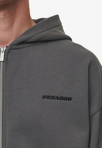 Pegador LOGO OVERSIZED JACKET - Majica s kapuljačom i patentnim zatvaračem - washed anthracite