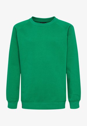 Grüner Pullover mit Rundhalsausschnitt, langen Raglanärmeln und gerippten Bündchen und Saum. Aus weichem, glattem Stoff in einfarbigem Design.