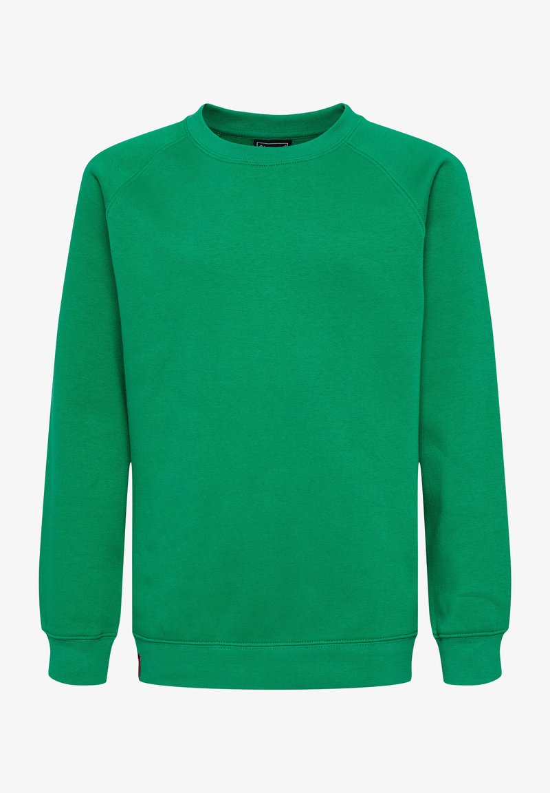 Grön sweatshirt med rund halsringning, långa raglanärmar samt ribbade muddar och fåll. Tillverkad av mjukt, slätt tyg med en enfärgad design.