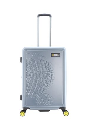 LUGGAGE GLOBE - Luggage - silver