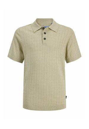 Blond chlapec stojí, má na sebe svetlozelené polo tričko s krátkym rukávom, hnedé nohavice a čierne topánky na jednofarebnom svetlom pozadí.