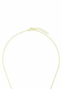 Collar chapado en oro con una cadena delicada, que cuenta con un cierre de langosta y una longitud ajustable con un extensor enlazado.