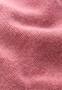 Seasalt Cornwall COUPLING - Trui - pink wild rose