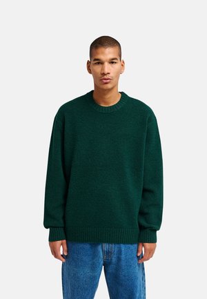 Jeune homme face à l'objectif, portant un pull vert foncé et un jean bleu sur un fond clair uni.
