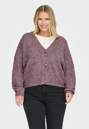CARZOEY - Chaqueta de punto - port royale
