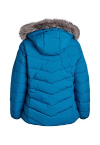 Veste d'hiver bleue rembourrée avec une capuche bordée de fourrure grise, vue de dos sur fond blanc.