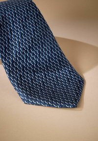 Marineblå silkeslips med et mønster af lyseblå bladlignende former, der taperer til en spids ende. Glat overflade, elegant design.
