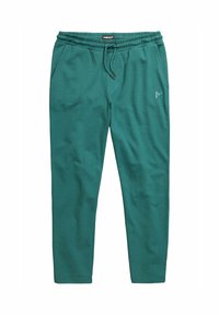 Nevybráno, fir green