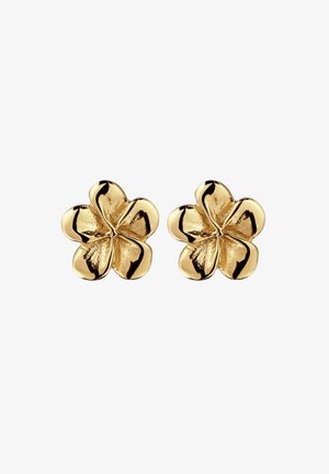 Paar glänzende goldene blumenförmige Ohrstecker mit jeweils fünf abgerundeten Blütenblättern auf weißem Hintergrund.