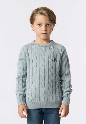 Maglione azzurro chiaro a maglia cable realizzato in tessuto morbido, con scollo rotondo, polsini a coste e un piccolo emblema sul petto.