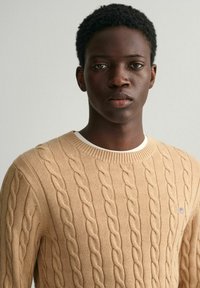Beige Kabelstrickpullover aus weichem Material, mit einem gerippten Rundhalsausschnitt und strukturiertem Design. Dezentes Logo auf der Brust.