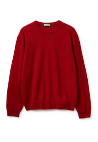 CREW NECK - Strickpullover - red