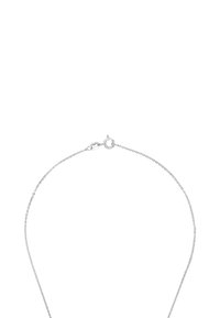 Silverhalsband med en delikat, länkad design, en karbinhake som stängning och en slät, polerad yta.