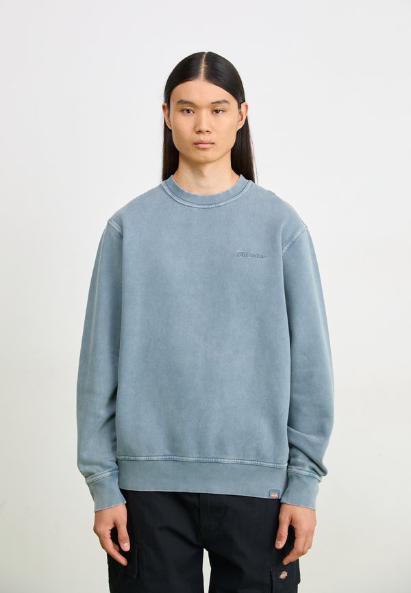 PLENTYWOOD  - Sweatshirt - stormy weather