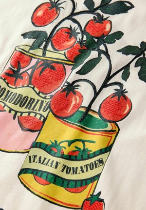 Illustration colorée de tomates dans deux boîtes ; l'une étiquetée "Pomodorino", l'autre "Tomates Italiennes". Présente des tomates rouges, des feuilles vertes et des accents jaunes.