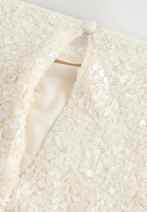 Bežna odjeća s složenim ukrasima od šljokica, koja ima zatvaranje na gumb i glatku unutrašnjost. Tekstura je sjajna i refleksivna.