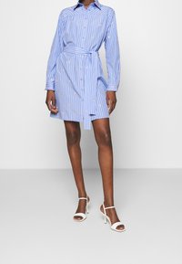Ljusblå randig skjortklänning med långärmade ärmar, krage, knappfront och knytning i midjan. Har små broderade detaljer och en avslappnad passform.